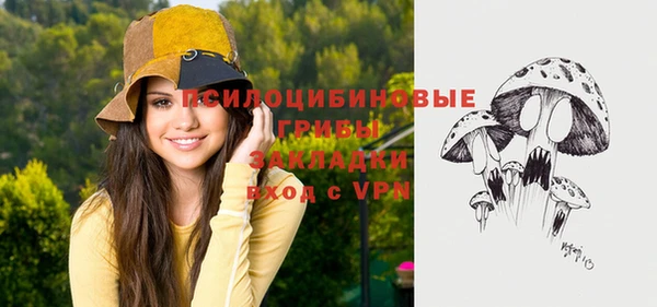 соль ск Усинск