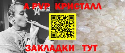 дмт Будённовск