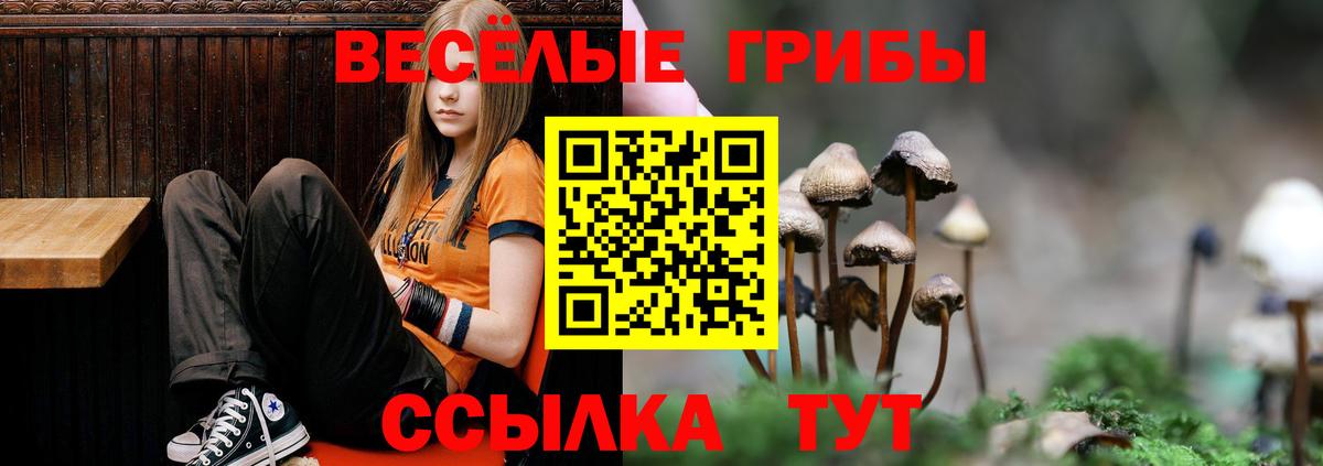 Галлюциногенные грибы Cubensis  Вход с VPN  Усолье-Сибирское 
